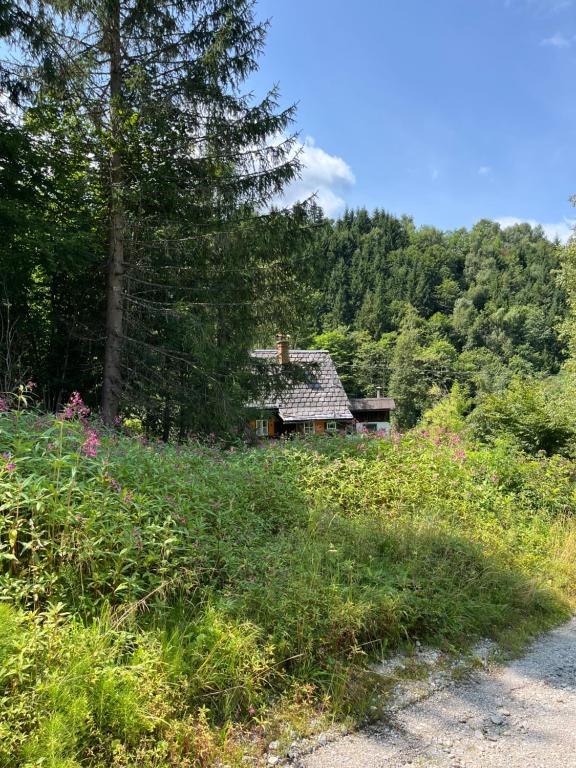Ferienhütte Admont - 4
