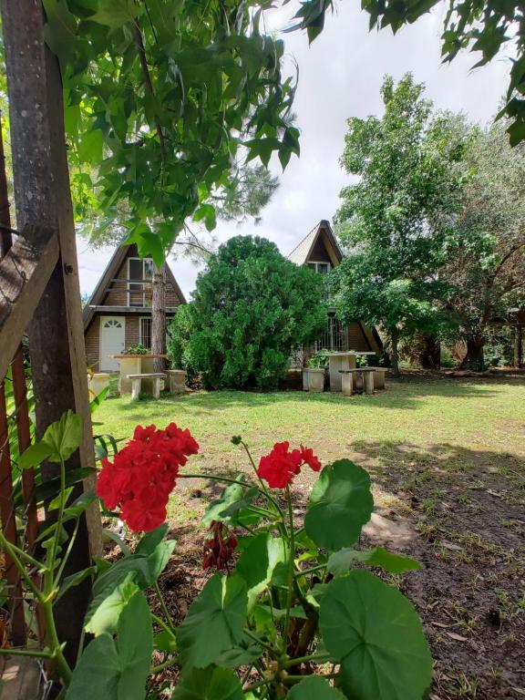 Cabañas Alpinas San Pedro - 4