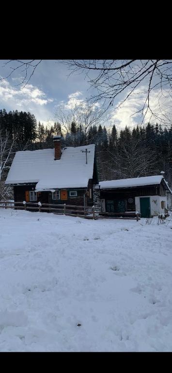 Ferienhütte Admont - 3