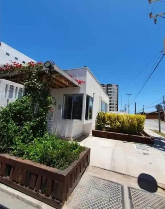 Departamento en la Serena - 1