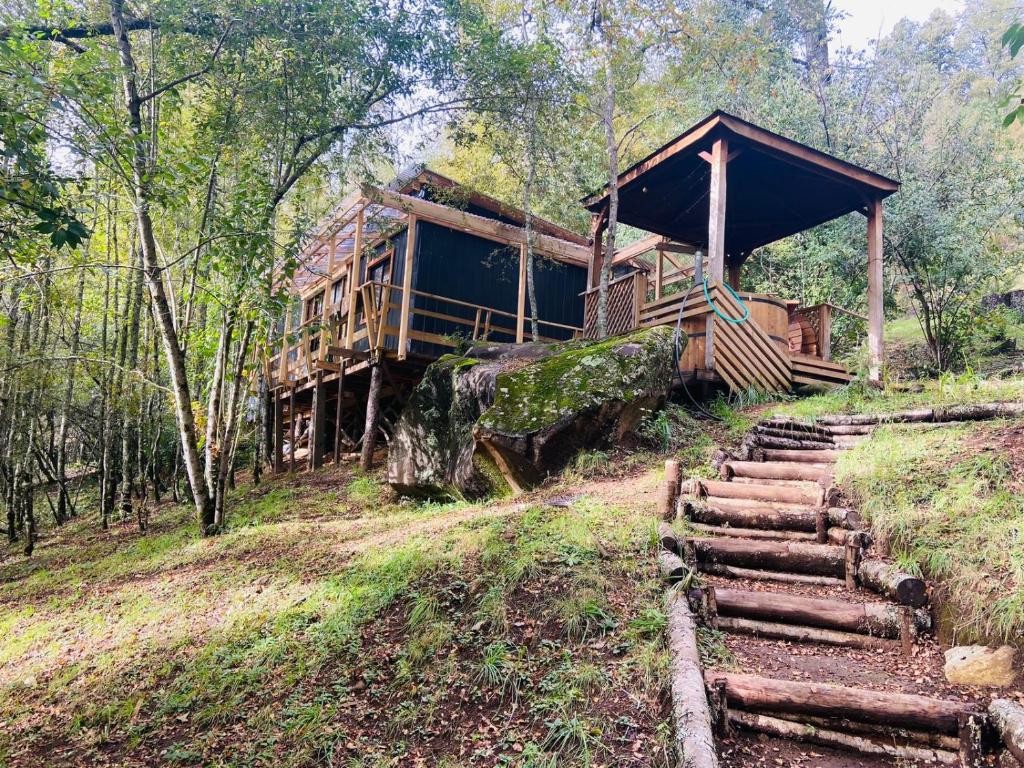 Cabañas con tinajas Mahuidas Panguipulli - 1