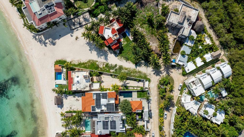 Casa Marea - 2BR - Tropical Vibes & Palm Breeze Oasis - 4