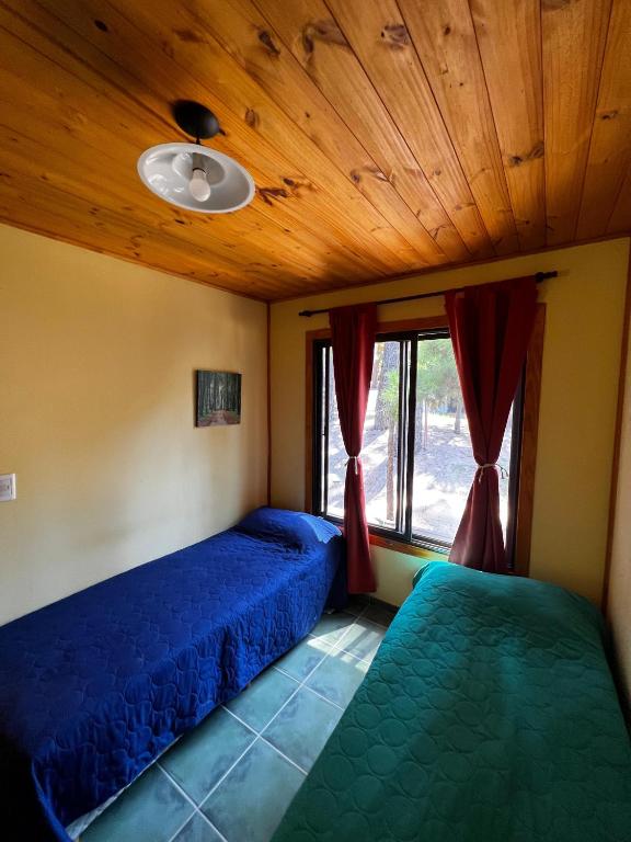 Cabañas Buena Madera y Tierra Mansa - 5