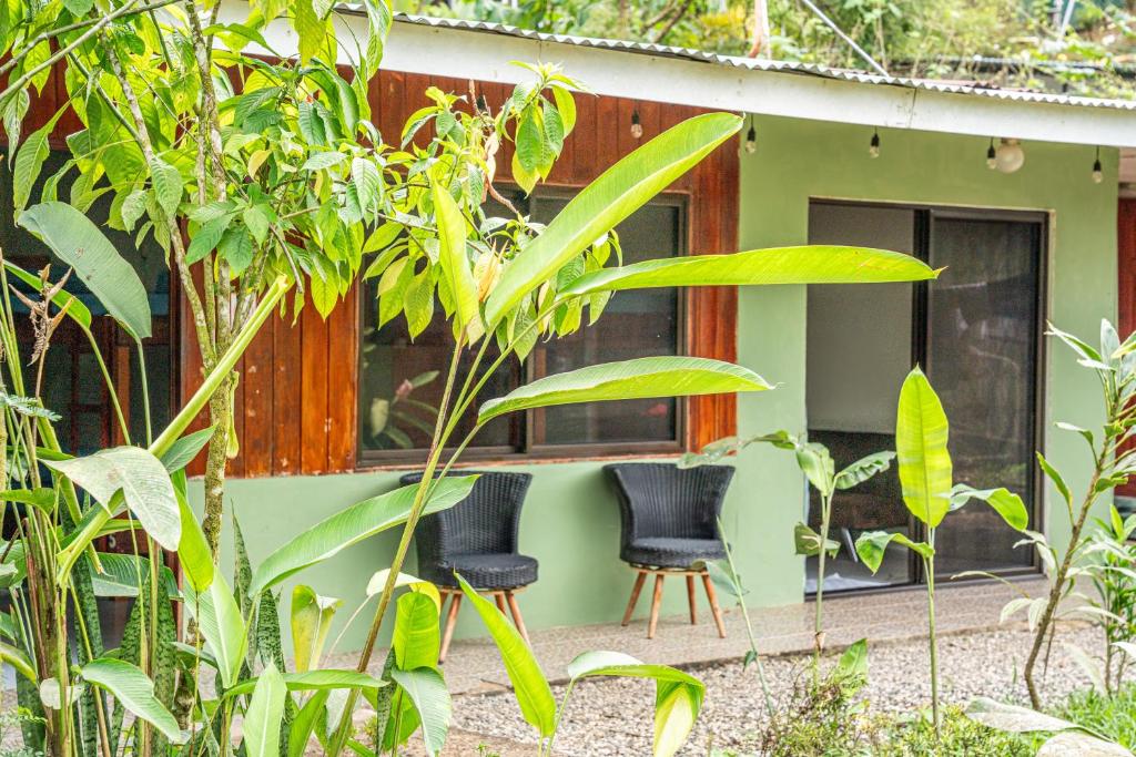 Exterior view, Jacobin Hostel & Cabins in Drake Bay