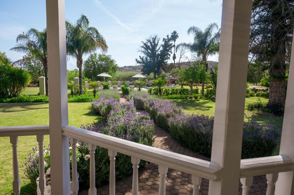 Bakenskraal Ostrich Palace 周辺案内