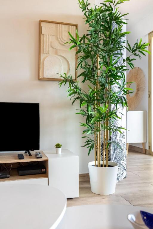 Le Petit Sanary- Balcon, Parking, Plage - 5