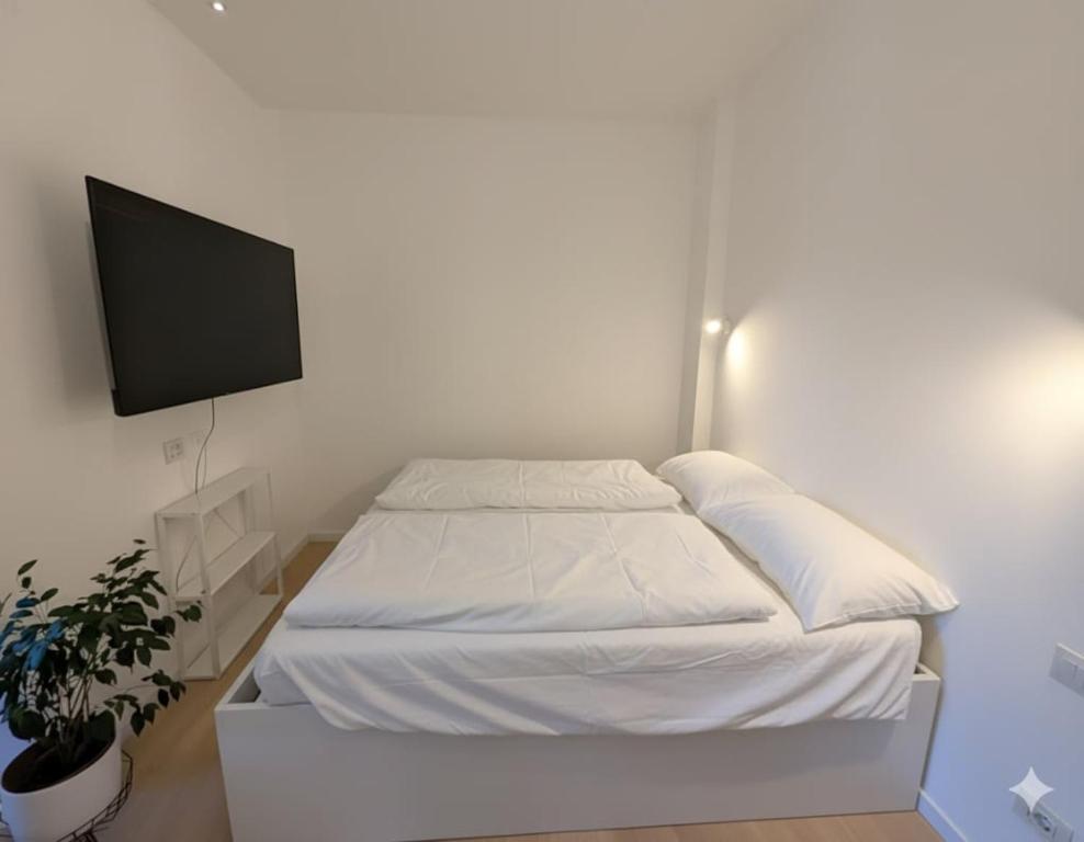 Luxury Suite - Zen Urban Retreat - 5