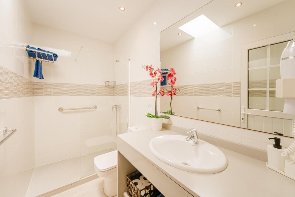 Apartment Old Town Reina Sofia 2 - 4
