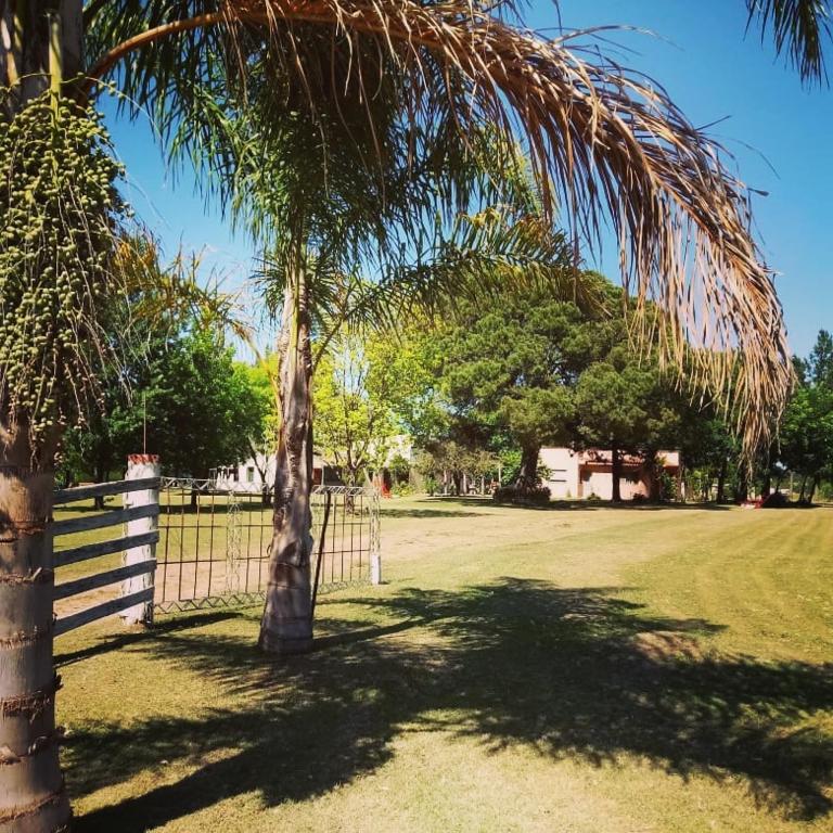 Posada La Maison D Agustine - 3