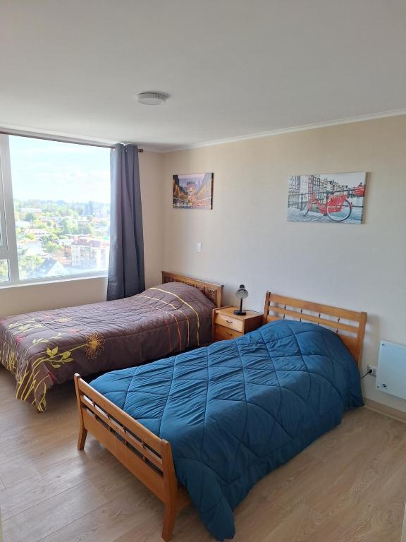 Cómodo y tranquilo departamento central en Osorno - 3