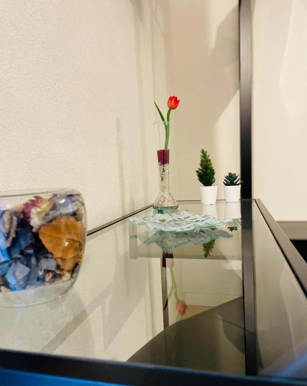 Suite Caronda - 3
