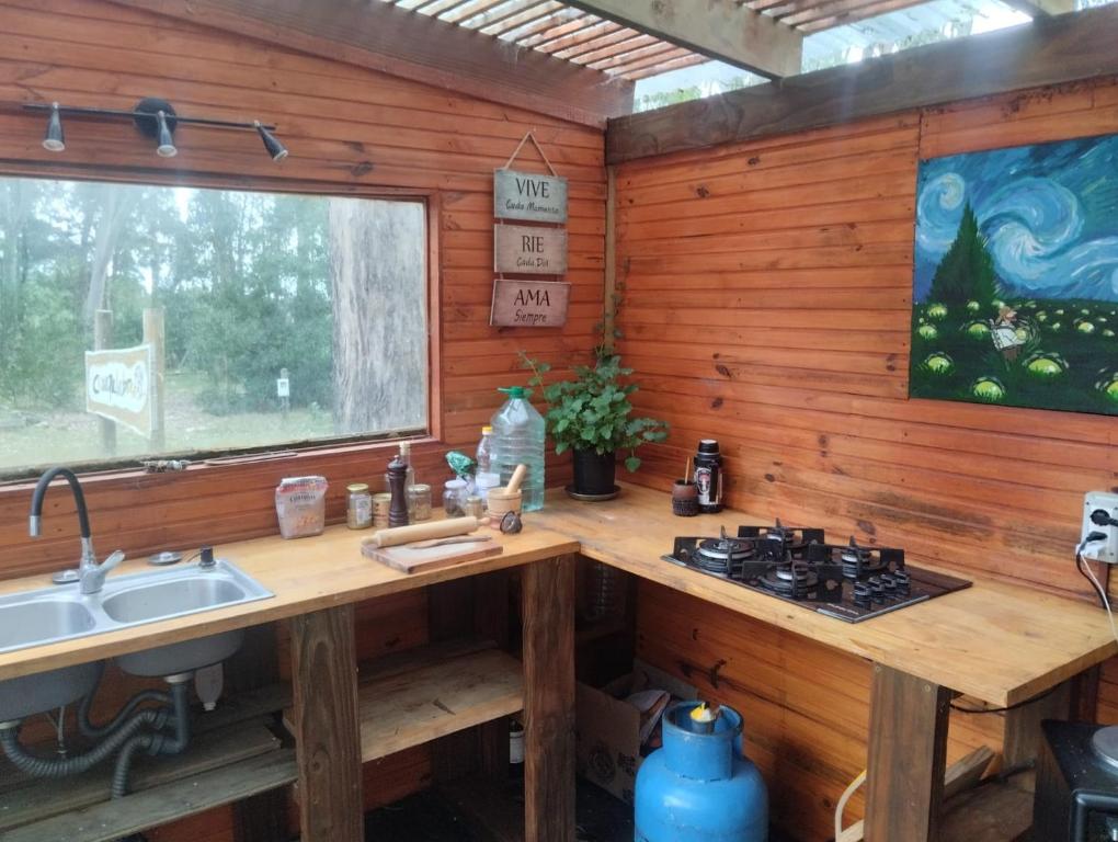 Un espacio para contactar con la naturaleza - 5