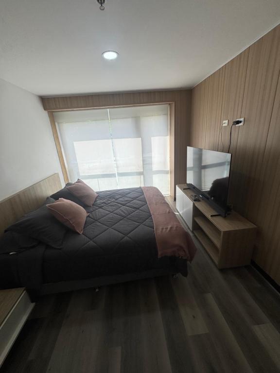Hotel Rioverde Suite Cerca de Aeropuerto JMC - 5
