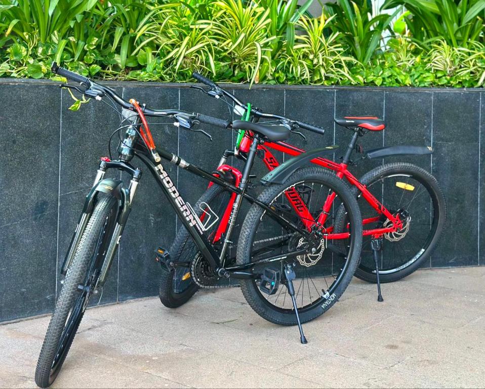 Sports and activities