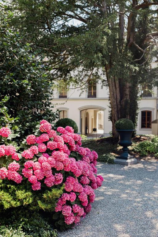 Château de l'Aile- Boutique Suites - 3