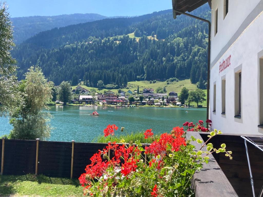 SeeBrauer - 2