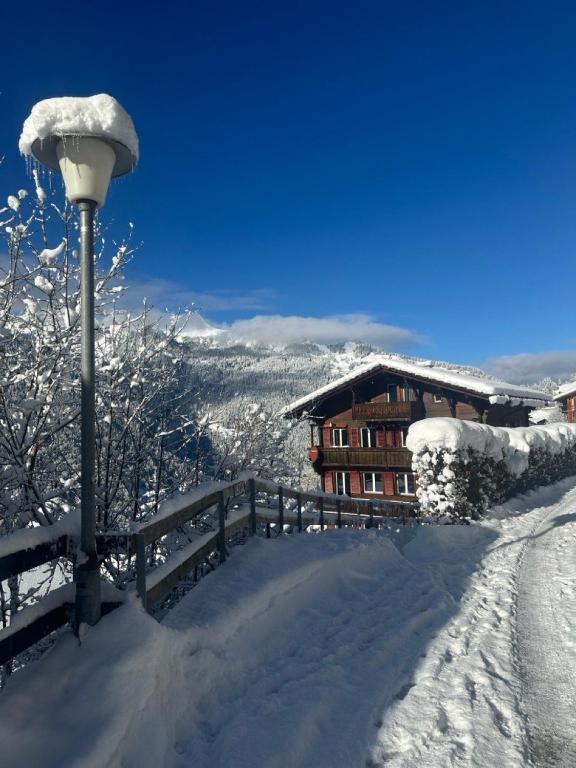Chalet Luegistal - 2