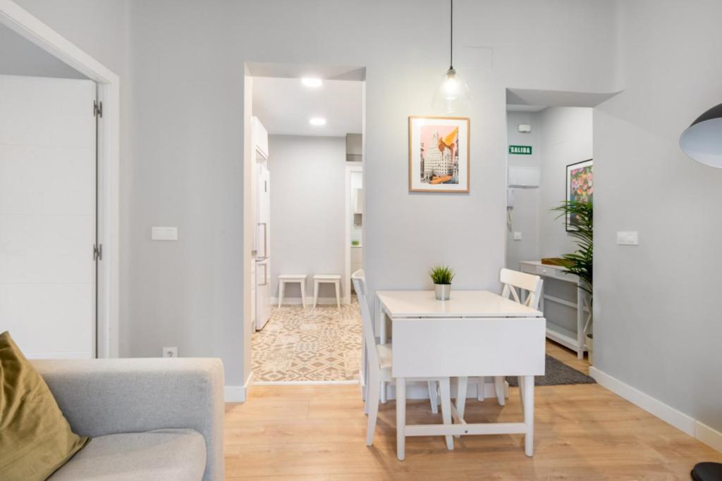 Refurbished Bright-2Bedrooms 1bathroom-Lavapies - 4