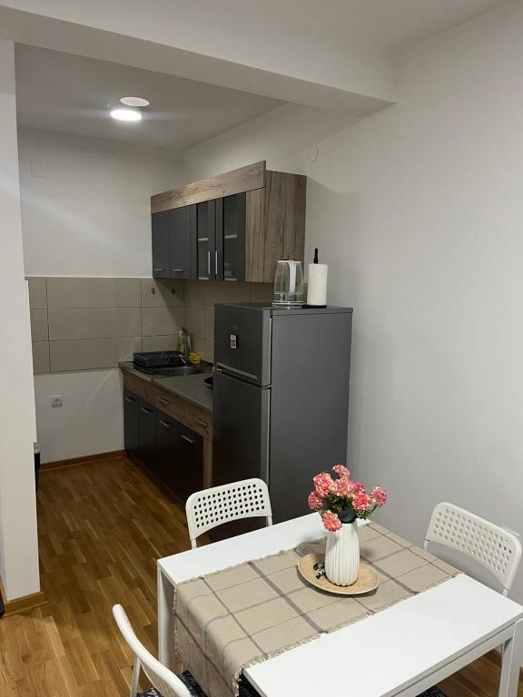 S&B Apartman Vrnjačka Banja - 4