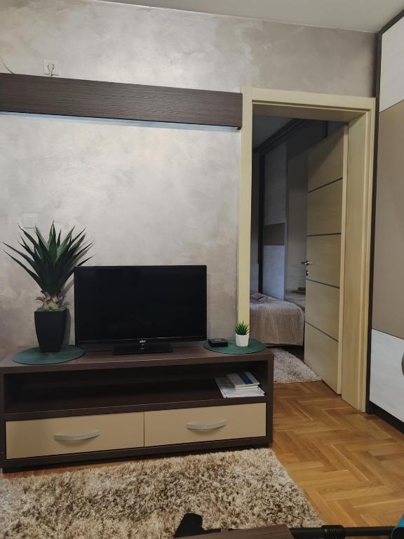 Apartman Stefan Vrnjacka Banja-centar,besplatan parking,wi-fi - 5