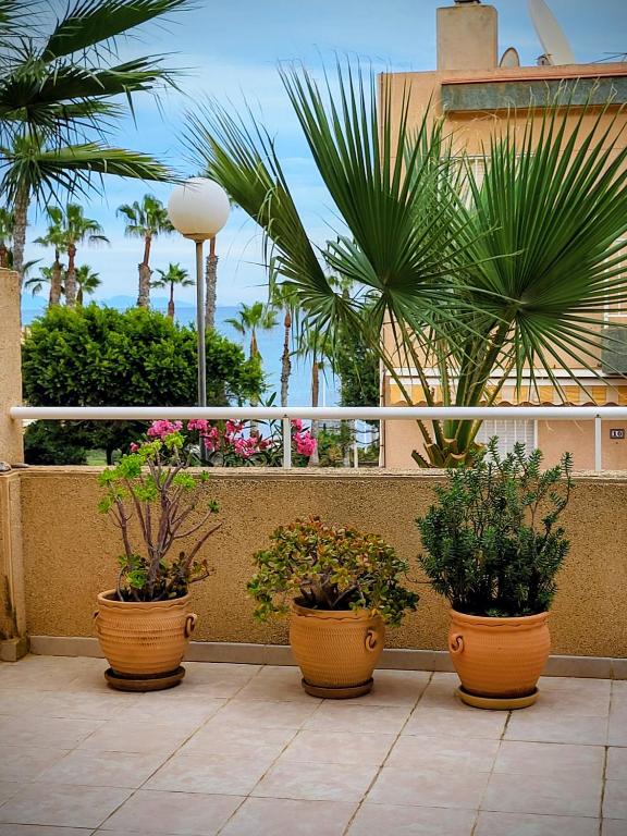 Apartamentai su vaizdu į jūrą - 5