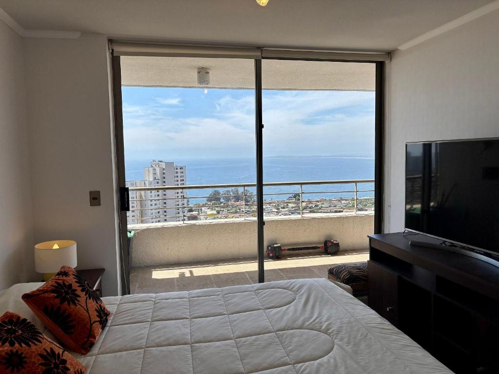 Beautiful view towards the sea and Concón - 5