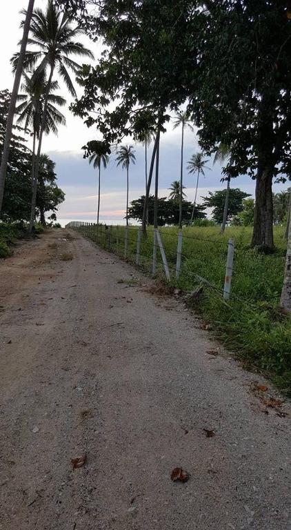 Surrounding environment