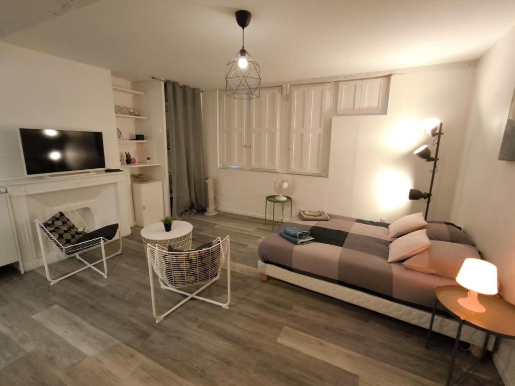 Studio lumineux hyper centre - quartier Bourgogne - Orléans - 1