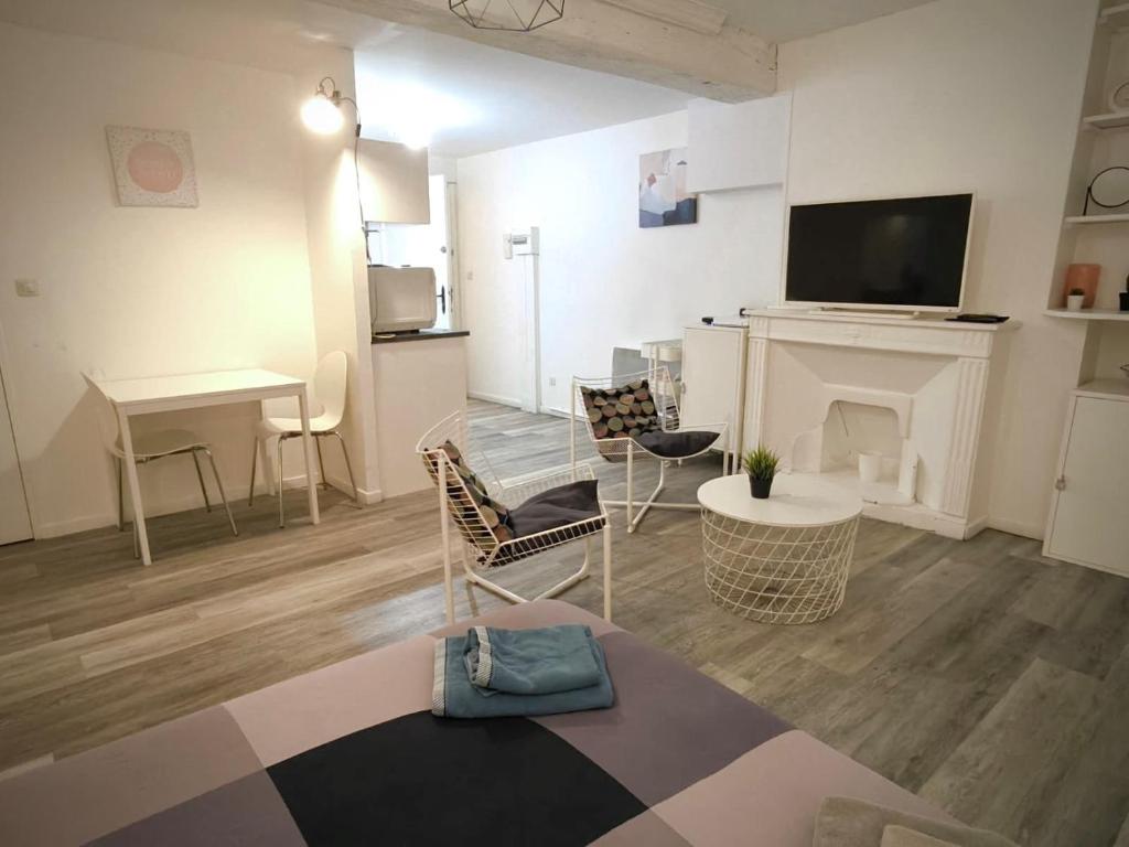 Studio lumineux hyper centre - quartier Bourgogne - Orléans - 2
