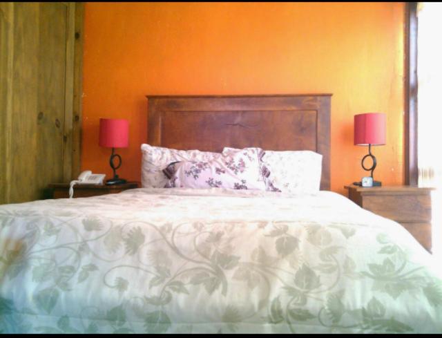 Habitación Jardín - 2