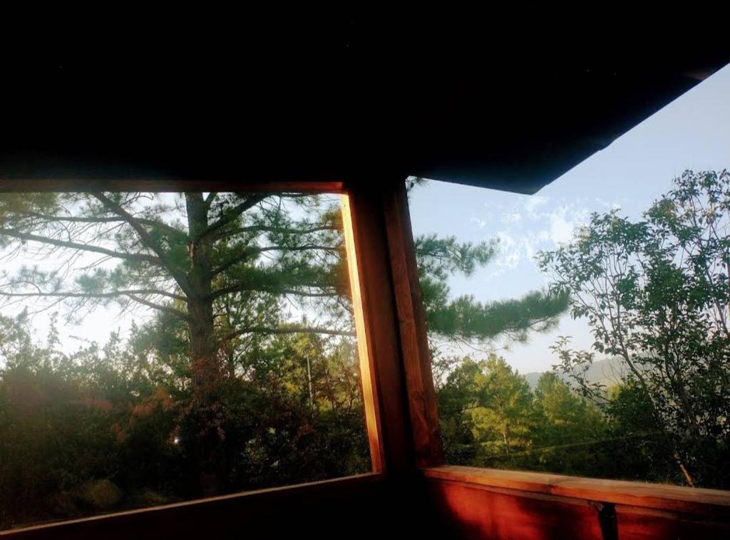 Cabañas La Escondida - 4