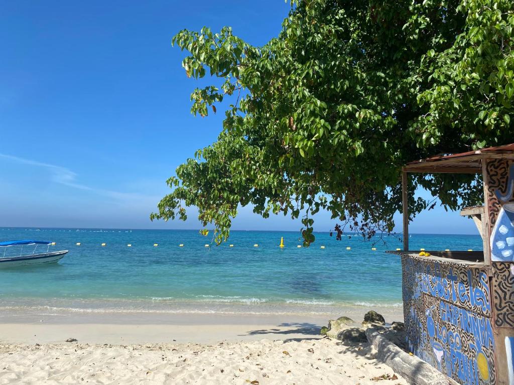 Amora Beach Camping - 5