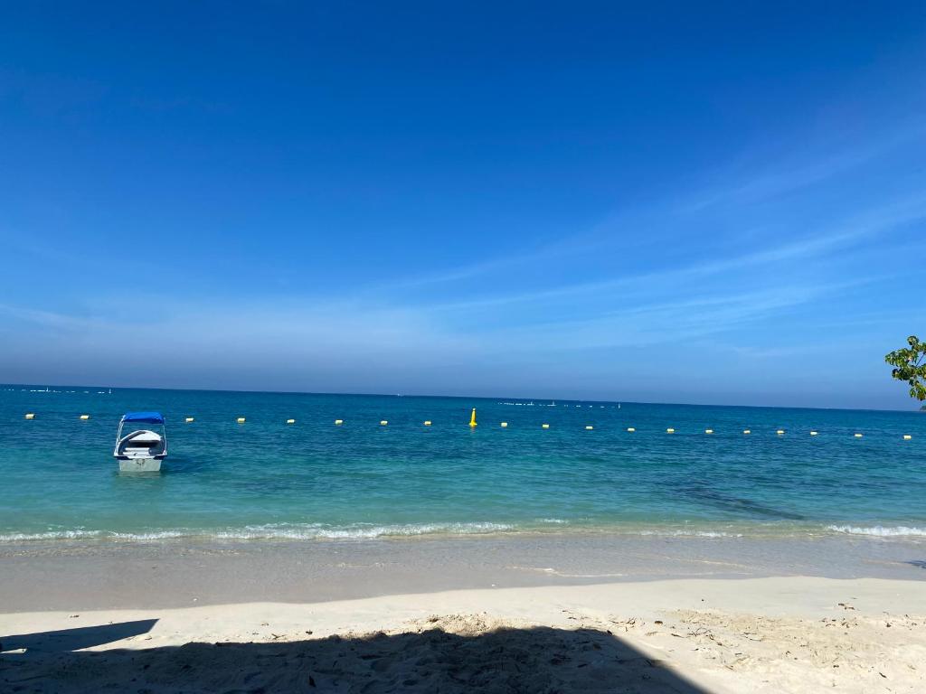 Amora Beach Camping - 1