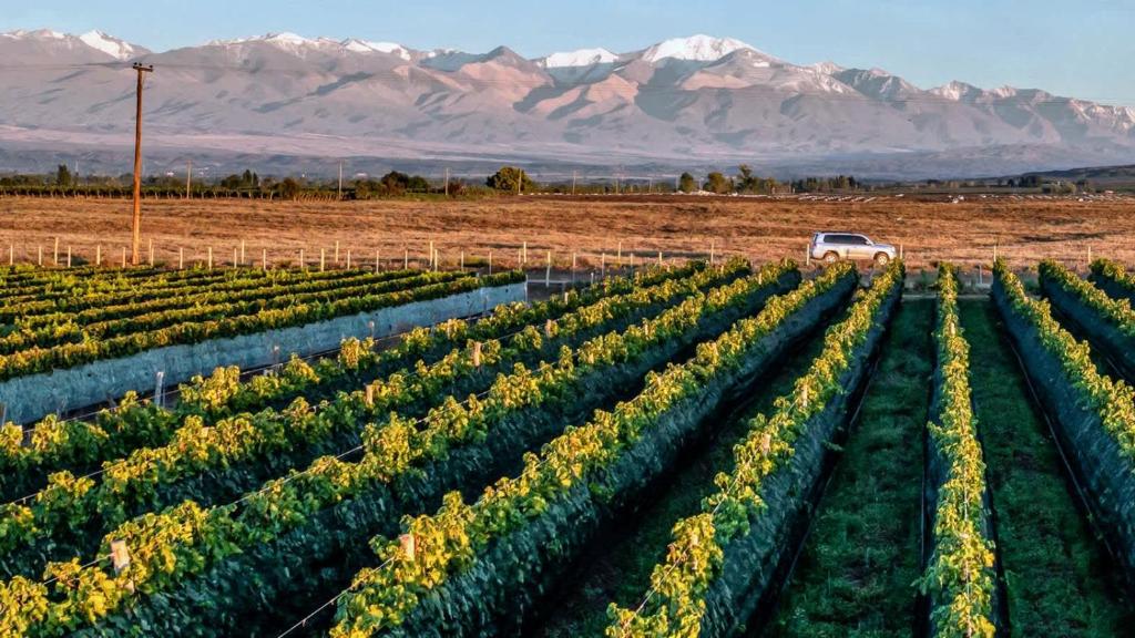 MOT Wine Country 3 Bd Villa Tupungato - 1