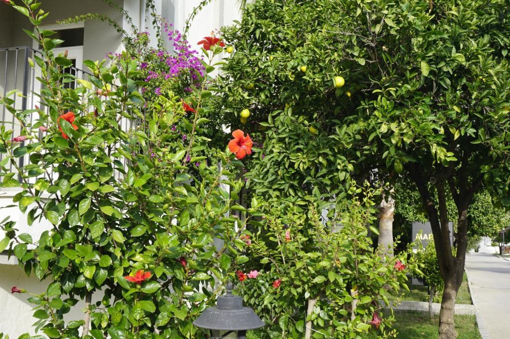 Sunlight Garden Hotel — Hotel building in Side