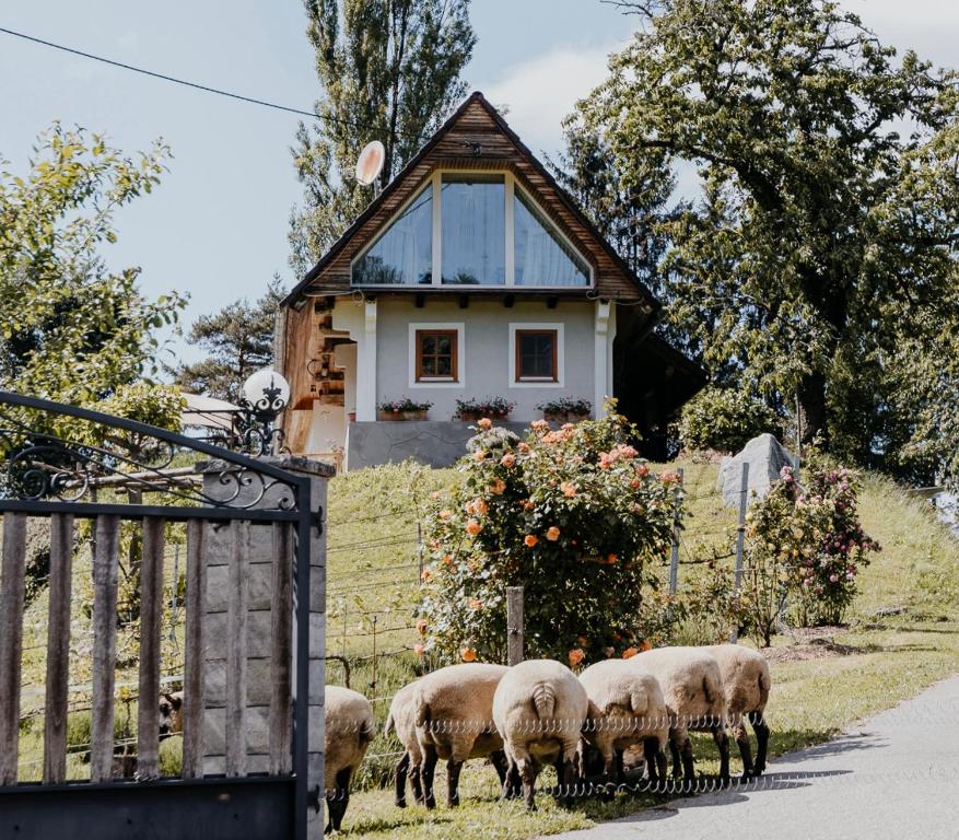 Ferienhaus am HerbstHof - 1