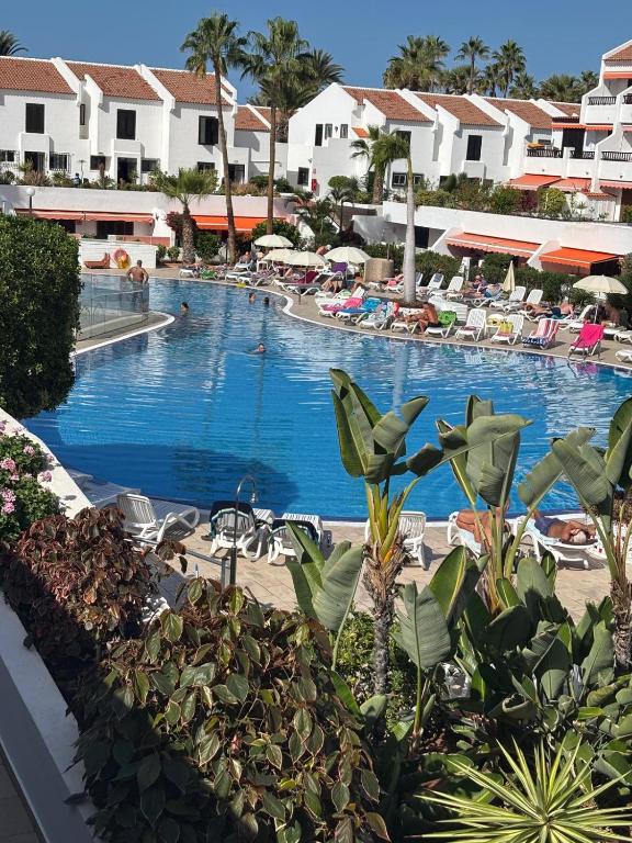 Parque Santiago 1, Studio 214, Tenerife Dream Properties - 1