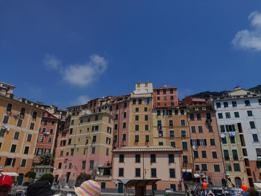 Sea view Camogli Portofino - 2