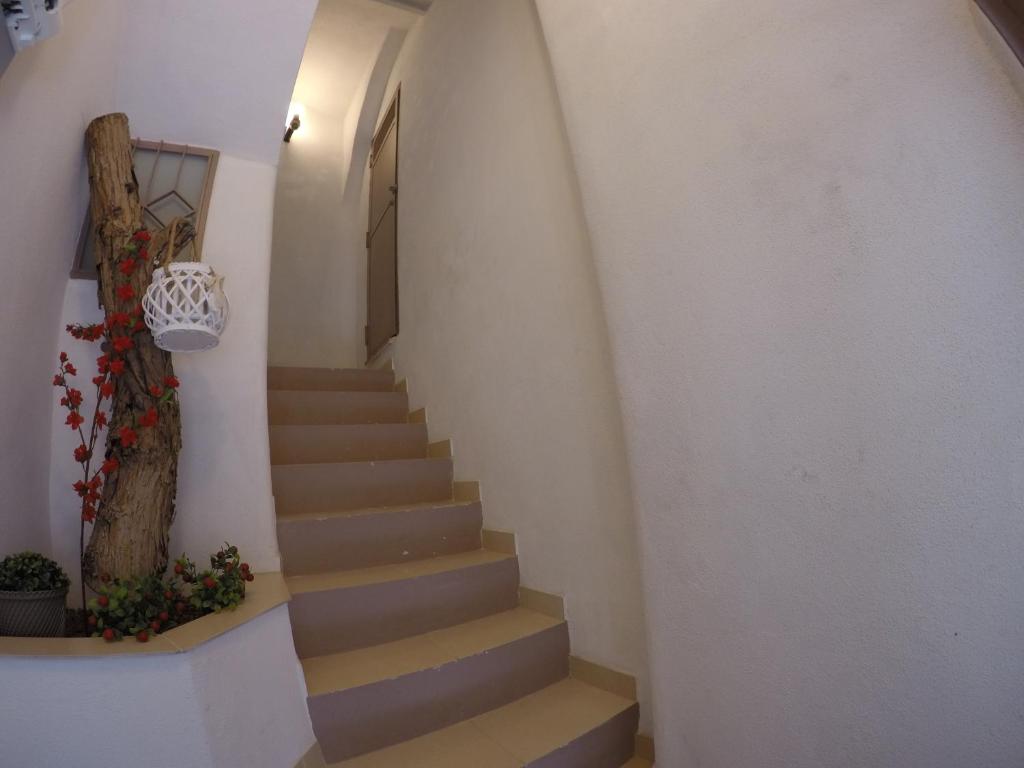Appartamenti della Rotonda photo