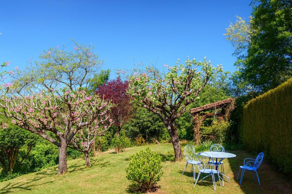 La Colline - Chambre d'hôtes - B&B - 5
