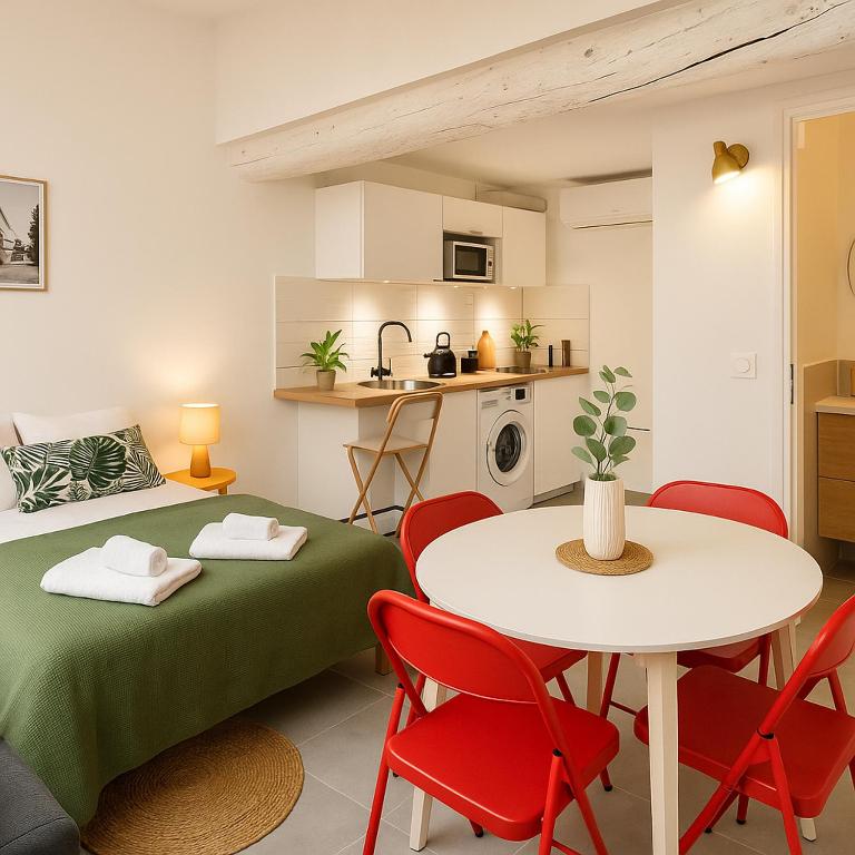 T2 Duplex climatisé Suite et canapé-lit Aix centre - 1
