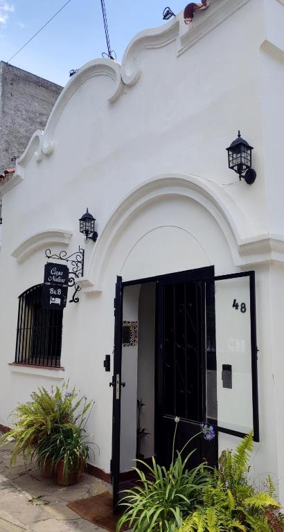 Casa Nativa - 5