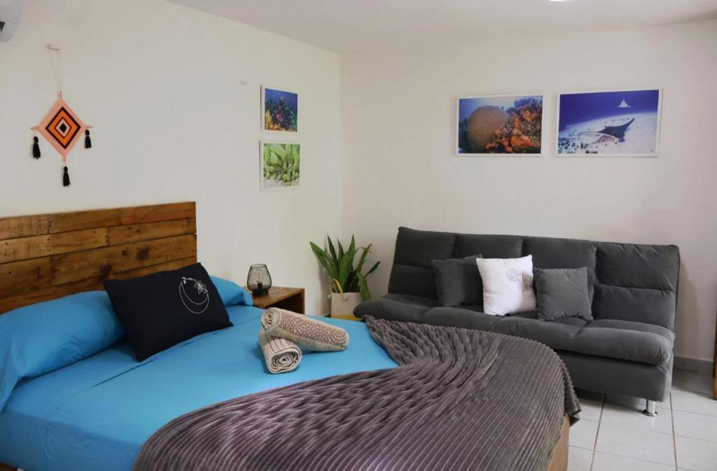 Comfy studio Yaxkin on downtown, 3 block away from sea and sunsets - 1