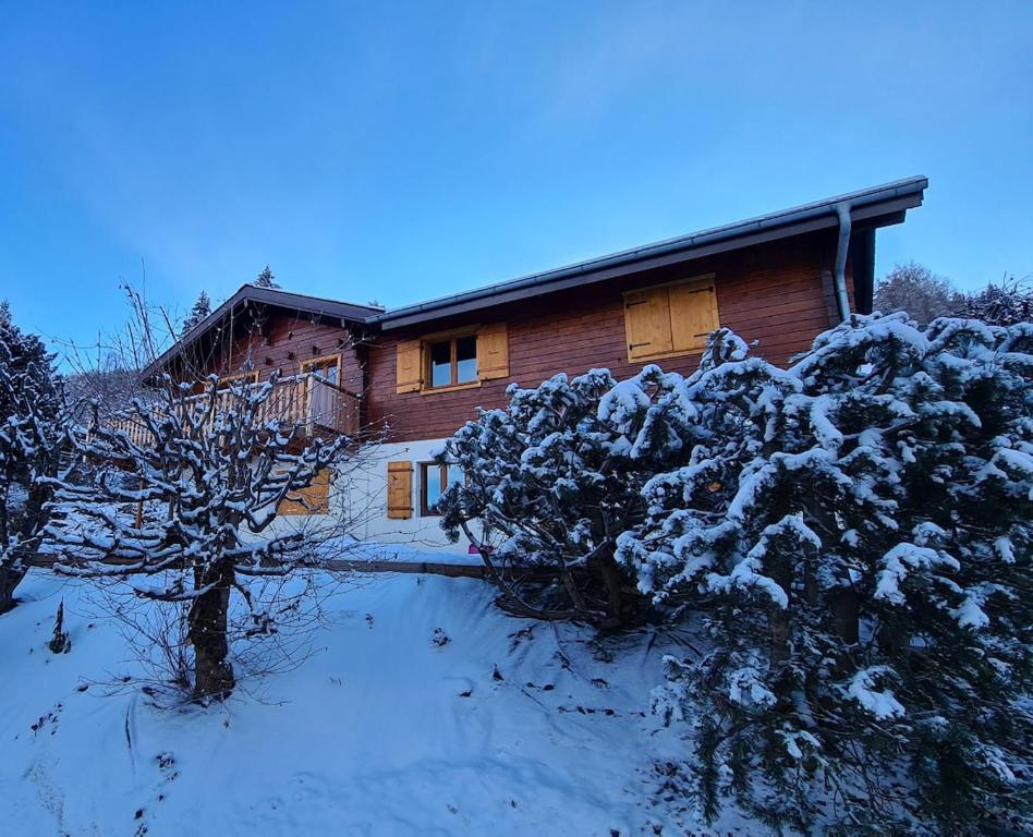 Chalet les Anémones - 2