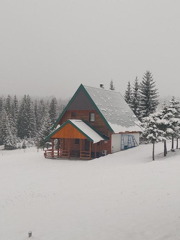 House in forest - 2