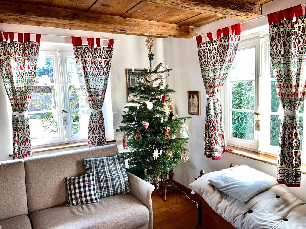 La maison alsacienne Strasbourg - 2