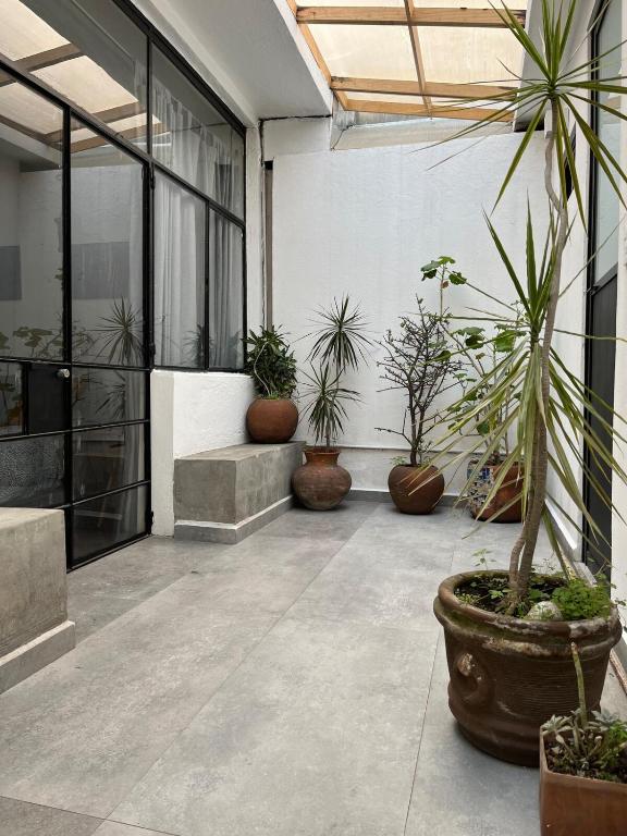 Mini loft with a small terrace en Condesa - 4