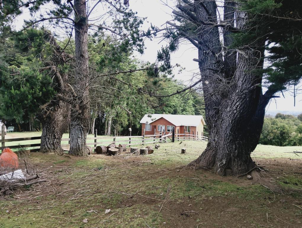 Agroturismo Silvestre Marly - 2