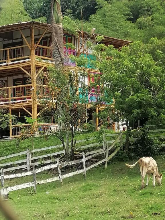 Finca hotel playa bonita - 4