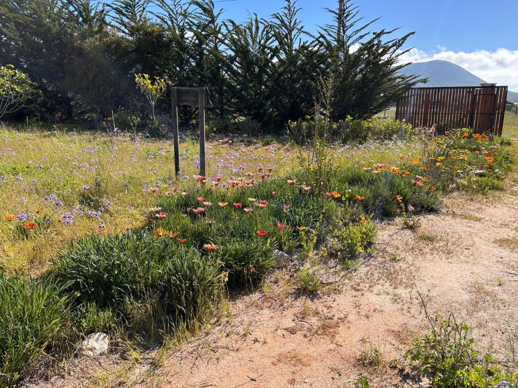 Cabaña con Piscina Guanaqueros - 3